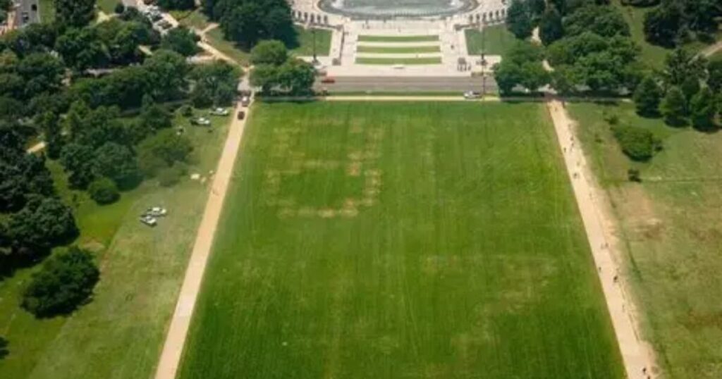 Anti-Trump Vandals Etch ’86 47′ Threat into National Mall Grass Near White House, Federal Authorities Launch Investigation