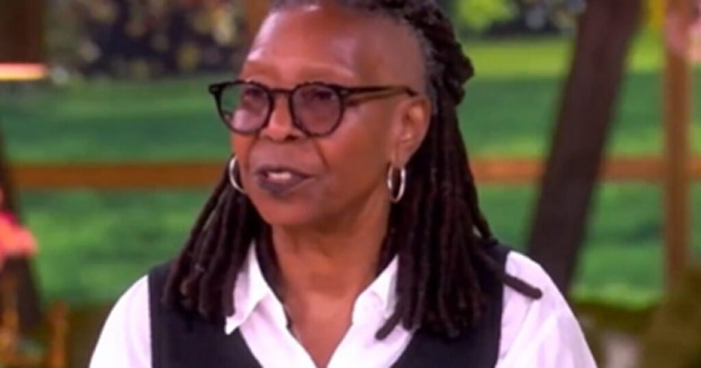 LYING OR STUPID? Whoopi Goldberg of ‘The View’ Claims Nobody Wants Voter ID Laws (VIDEO)