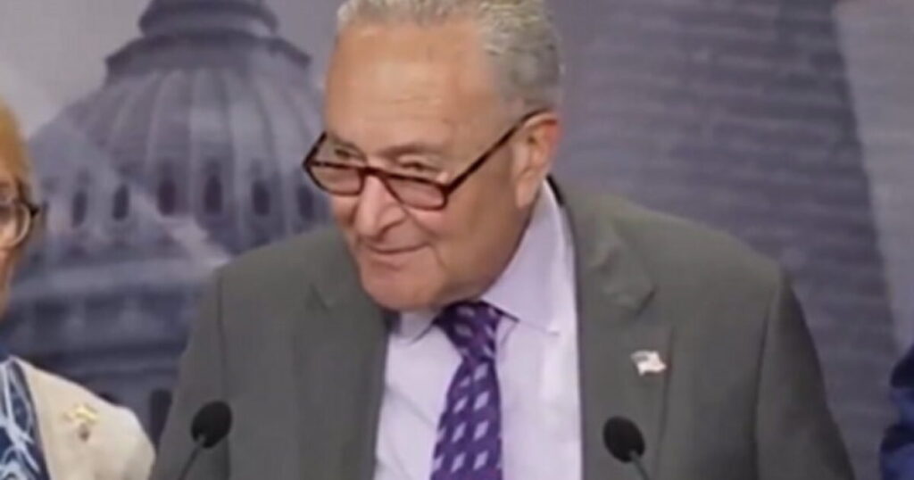 Appeals Court Upholds New York ‘Gas Stove Ban’ That Chuck Schumer Insisted Wasn’t Even Happening