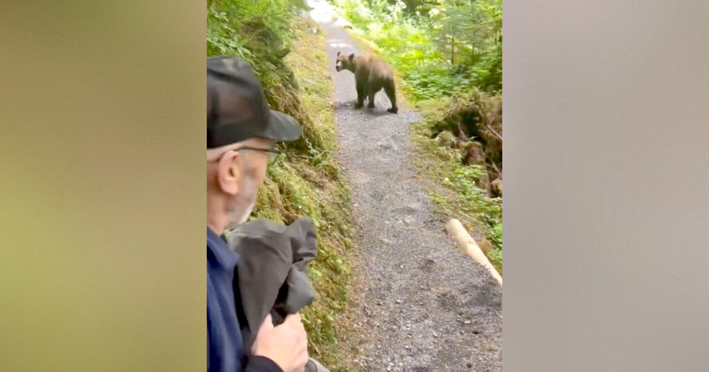 Hikers in Alaska Have Face-to-Face Encounter With Grizzly Bear in Terrifying Moment Caught on Viral Video