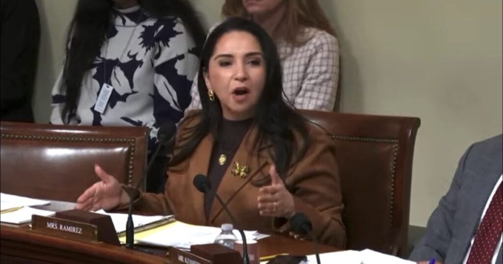 Meet the Poster Child for Why Birthright Citizenship Is Horrible: Rep. Ramirez – Born to an Illegal and Now Trashes America and Supports Terrorists