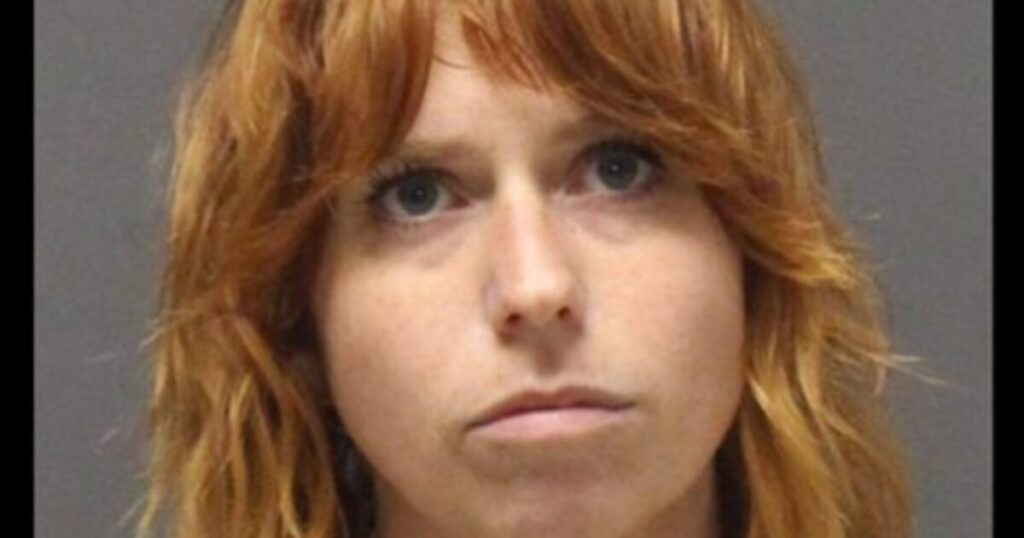 TRULY WICKED: Canadian Woman Living in New Jersey Assaults Teenage Girl Wearing Patriotic Clothing Supporting Trump and ICE