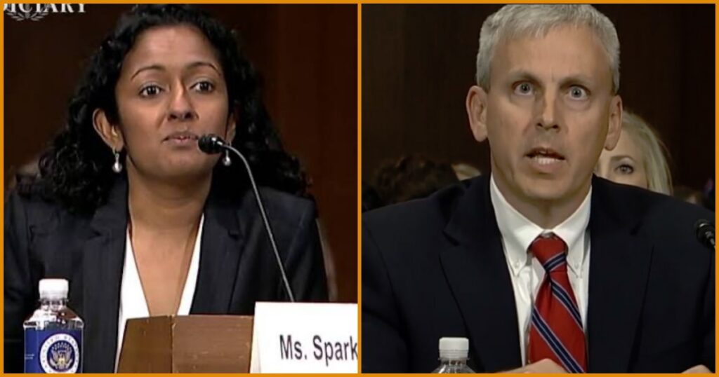 Trump-Appointed Federal Judge SMASHES Ruling by Foreign-Born Activist Judge — REINSTATES Critical Voter System to Root Out Illegal Alien Voters