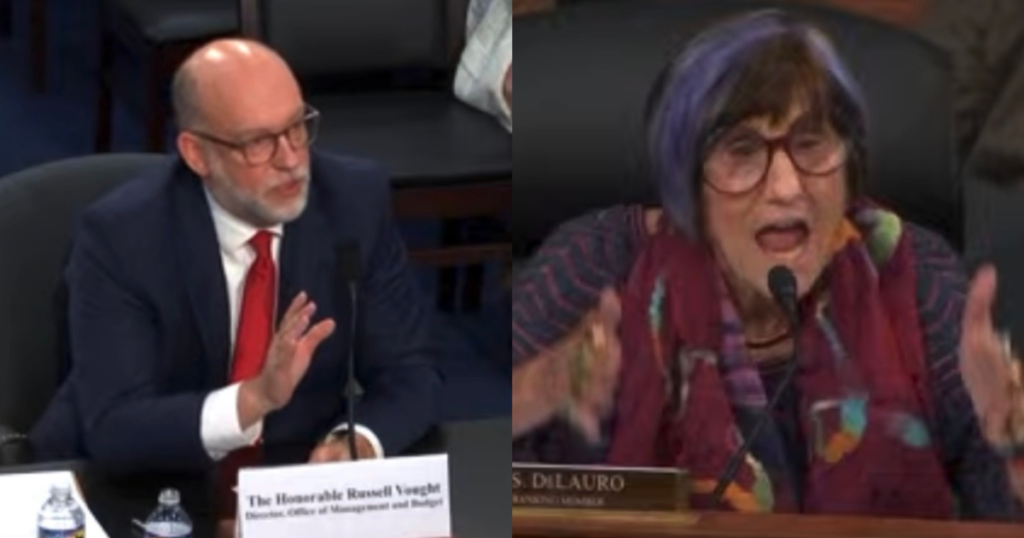 WATCH: Crazy Purple-Haired Rep. Rosa DeLauro LOSES IT and Starts Screaming at OMB Director Russ Vought