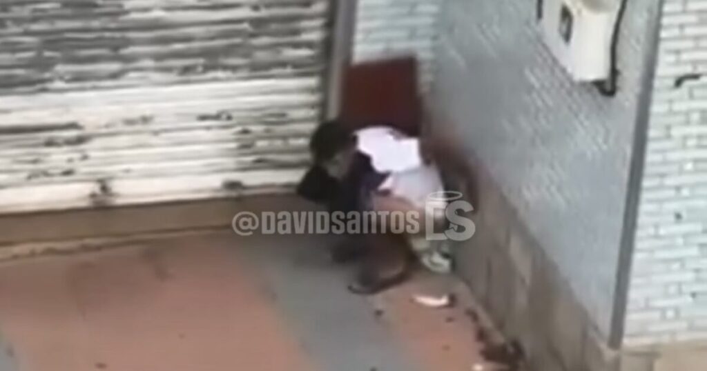 African Migrants Loot Homes and Stores in Ceuta, Defecate in the Streets, Attack Citizens (VIDEOS)