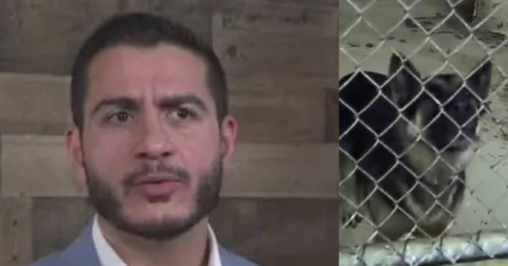 Far-Left Democrat Candidate Abdul El-Sayed Oversaw ‘Slaughterhouse’ that Killed Thousands of Dogs and Cats Under His Watch
