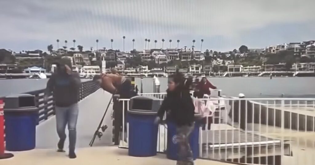 Watch: Rich CA Dems Get Taste of Own Medicine as Boat Quietly Docks and Suspected Illegals Suddenly Hop Out, Melt Into Neighborhood