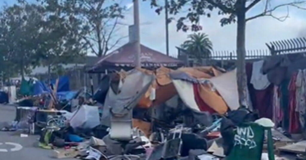 FINALLY: City of Berkeley in California Manages to Clean Up Homeless Encampment in Viral Story